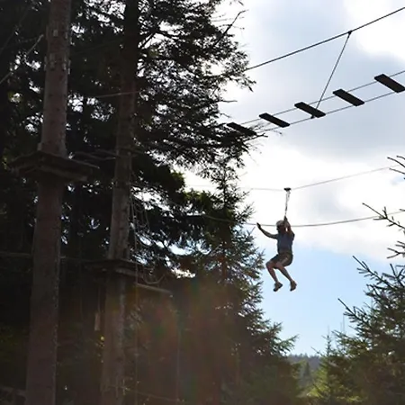 Отель Aviva Superior Make Friends Санкт-Штефан-на-Вальде