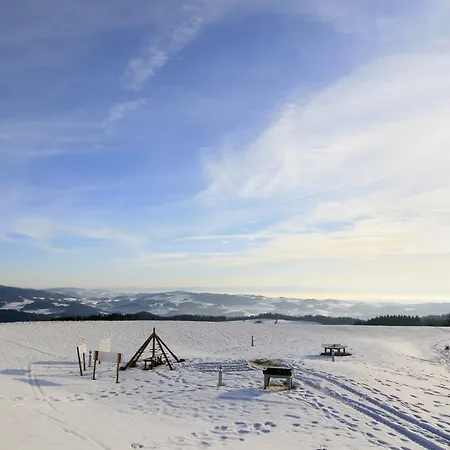 Отель Aviva Superior Make Friends 4*