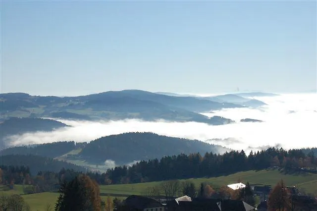 Aviva Superior Make Friends 4*