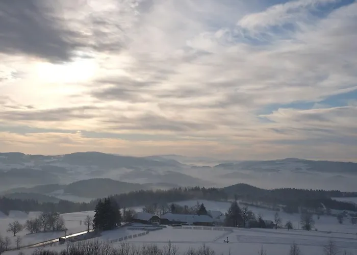 ホテル Aviva Superior Make Friends Sankt Stefan