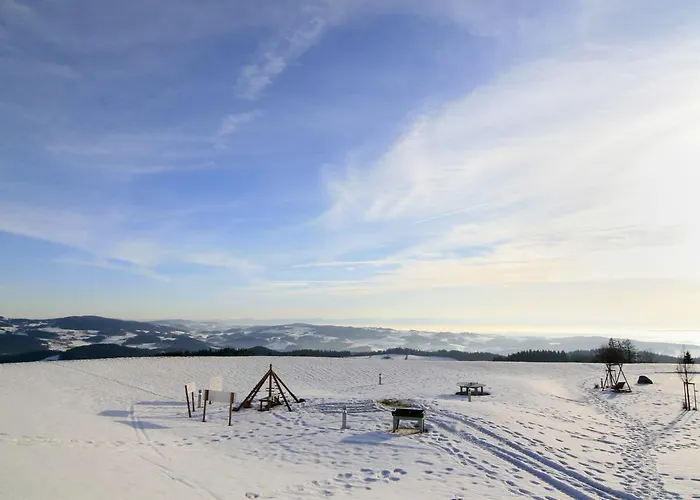 ホテル Aviva Superior Make Friends 4*