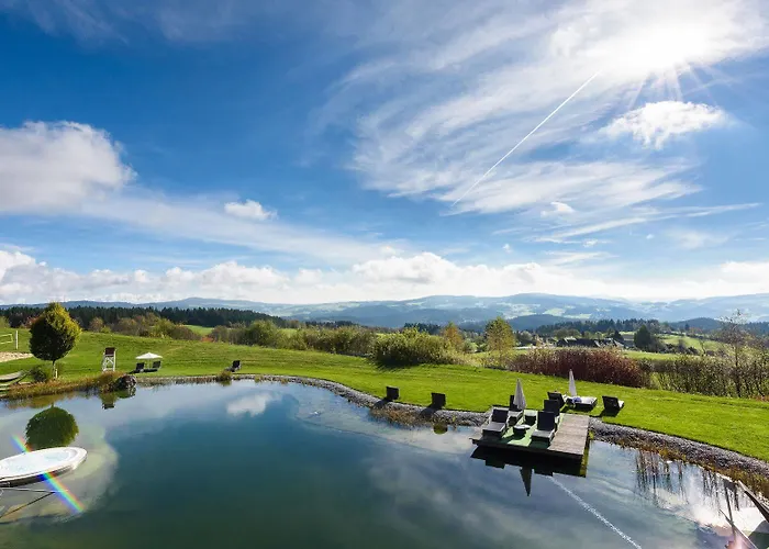 Aviva Superior Make Friends