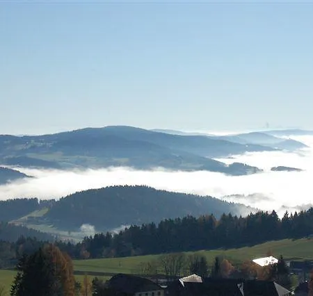 Aviva Superior Make Friends 4*