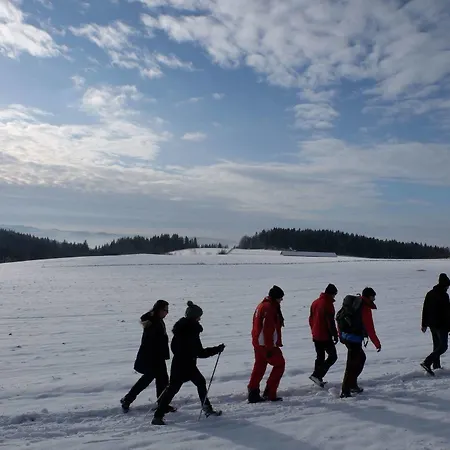 Aviva Superior Make Friends Hotel Sankt Stefan