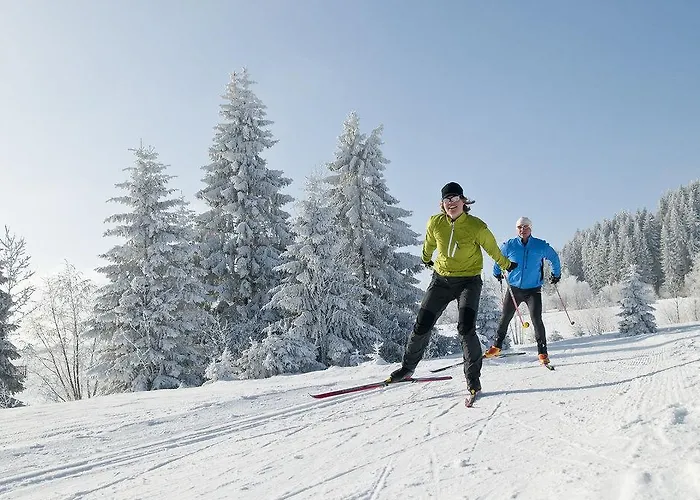 Hotel Aviva Superior Make Friends 4*