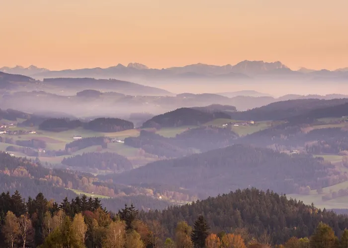 Aviva Superior Make Friends Sankt Stefan